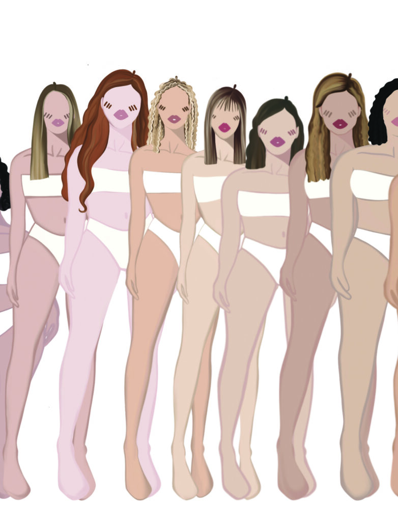 Le système des tailles